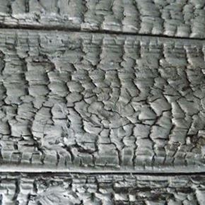 Imagem de categoria Yakisugi